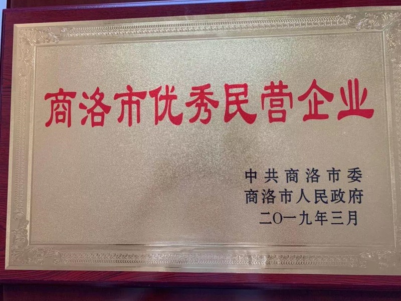 热烈祝贺李宗松董事长荣获商洛市优秀企业家